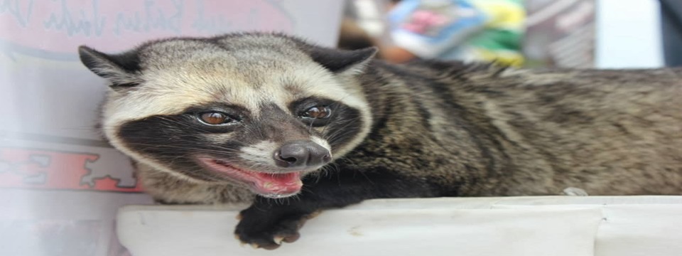 Slider 03
