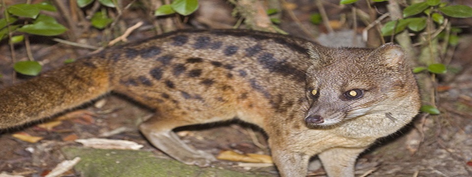 Slider 04