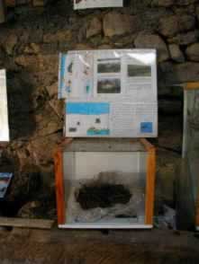 Fochavitp.jpg (24580 bytes)
