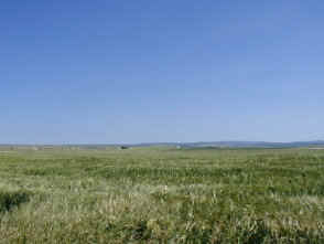 aguice2p.jpg (18091 bytes)