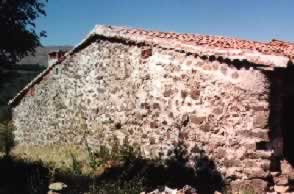 herrerillo1.JPG (31263 bytes)