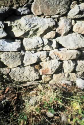 lavandera2p.JPG (56437 bytes)