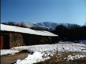 vistamu1p.jpg (17226 bytes)