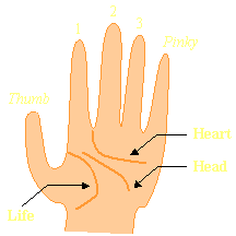 img020.gif (2398 bytes)
