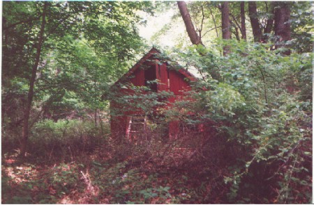 The same shack, seen from the side, looks even more dilapidated