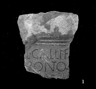 serarq.jpg (15368 bytes)