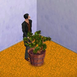 Enviro-Plant