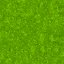 Green Shag Carpet