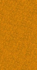 Orange Shag Wall