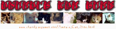 Anita's cat site