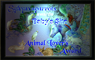 Sphynx 'N' Parrots Website