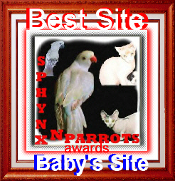 Sphynx 'N' Parrots Website