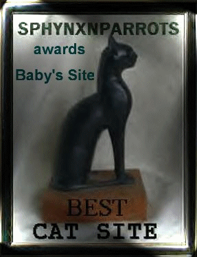 Sphynx 'N' Parrots Website