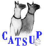 Catsup's Website