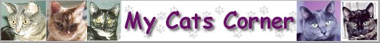 My Cat's Corner's Website
