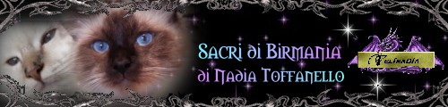 Nadia's Website