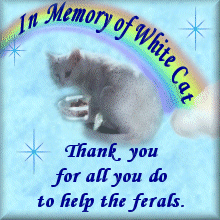 Jacqlee's Website