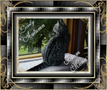 Mona's Website