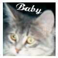 Baby's Site