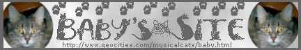 Baby's Site Banner