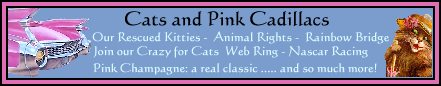 Cats & Pink Cadillacs