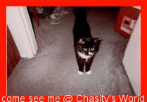 Chasity's World
