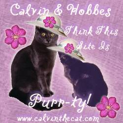 Calvin & Hobbes' Website