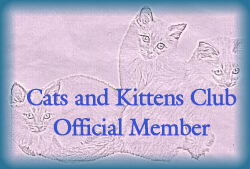 Cats and Kittens Yahoo Group Club Official Member