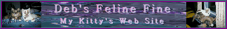 Deb's Feline Fine's Website