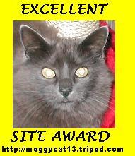 Cat Hotel's Website