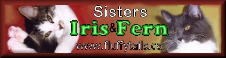 Iris & Fern's Website