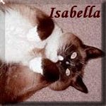 Jackie's Website
