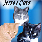 Jersey Cats Emporium's Website