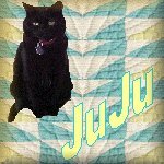 Cats, Kittys, Gatos' Website