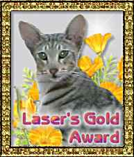 Laser's Site