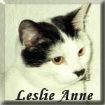 Jackie's Website
