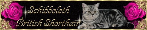 Schibboleth Cattery Site