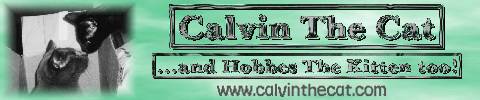 Calvin & Hobbes' Website