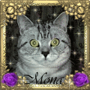 Mona's Website