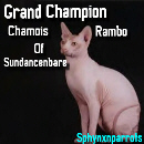 Sphynx N Parrots' Website