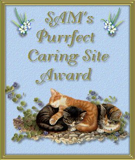 Sam's World Website