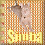 Cats, Kittys, Gatos' Website