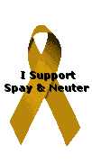 Spay & Neuter your pets!