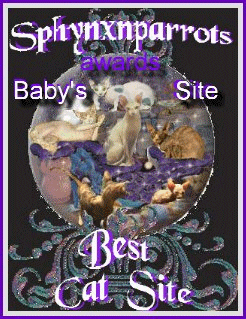 Sphynx N Parrots Website