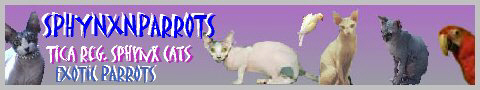 Sphynx N Parrots' Website