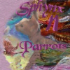 Sphynx N Parrots' Website