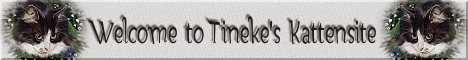 Tineke's Website