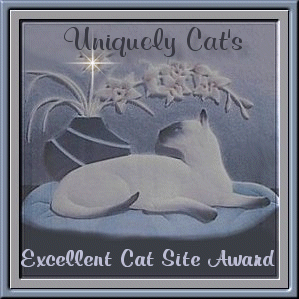 Uniquely Cats' Website