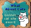 What About Cats Website