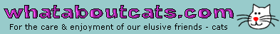 What About Cats Website